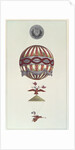 Design for a balloon in honour of Napoleon's coronation, 1804 by Anonymous