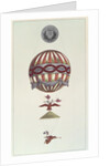 Design for a balloon in honour of Napoleon's coronation, 1804 by Anonymous