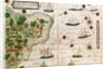 Brazil from the 'Miller Atlas' by Pedro Reinel, c.1519 by Portuguese School