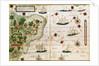 Brazil from the 'Miller Atlas' by Pedro Reinel, c.1519 by Portuguese School