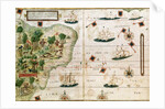 Brazil from the 'Miller Atlas' by Pedro Reinel, c.1519 by Portuguese School