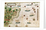 Brazil from the 'Miller Atlas' by Pedro Reinel, c.1519 by Portuguese School