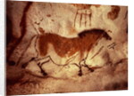 Rock painting of a horse, c.17000 BC by Anonymous