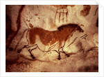 Rock painting of a horse, c.17000 BC by Anonymous