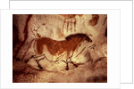 Rock painting of a horse, c.17000 BC by Anonymous