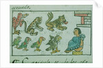 Ms Palat. 218-220 Book IX Animals of the Aztec Emperor by Spanish School