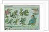 Ms Palat. 218-220 Book IX Animals of the Aztec Emperor by Spanish School