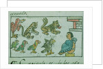Ms Palat. 218-220 Book IX Animals of the Aztec Emperor by Spanish School