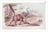 Hunting the Wild Elephant by William Cornwallis Harris