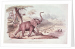 Hunting the Wild Elephant by William Cornwallis Harris