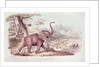 Hunting the Wild Elephant by William Cornwallis Harris