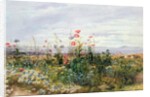 Fleurs sauvages avec une vue de Dublin Dunleary by Andrew Nicholl