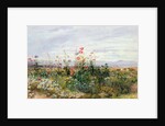 Fleurs sauvages avec une vue de Dublin Dunleary by Andrew Nicholl
