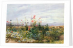 Fleurs sauvages avec une vue de Dublin Dunleary by Andrew Nicholl
