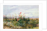 Fleurs sauvages avec une vue de Dublin Dunleary by Andrew Nicholl