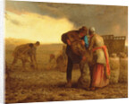 The Potato Harvest, 1855 by Jean-Francois Millet