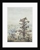 Thistles and Weeds, 1864 by Leon Bonvin