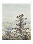 Thistles and Weeds, 1864 by Leon Bonvin