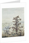 Thistles and Weeds, 1864 by Leon Bonvin