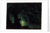 The Blue Grotto, Capri by Albert Bierstadt