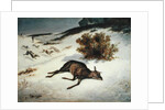 Hind Forced Down in the Snow, 1866 by Gustave Courbet