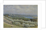The Terrace at Saint-Germain, Spring, 1875 by Alfred Sisley