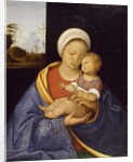 Madonna and Child, 1510-15 by Giovanni Agostino da Lodi