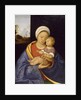 Madonna and Child, 1510-15 by Giovanni Agostino da Lodi