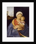 Madonna and Child, 1510-15 by Giovanni Agostino da Lodi
