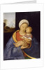 Madonna and Child, 1510-15 by Giovanni Agostino da Lodi