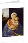 Madonna and Child, 1510-15 by Giovanni Agostino da Lodi
