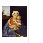Madonna and Child, 1510-15 by Giovanni Agostino da Lodi