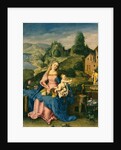 Virgin and Child in a Landscape, c.1600 by Albrecht (after) Durer or Duerer