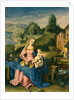 Virgin and Child in a Landscape, c.1600 by Albrecht (after) Durer or Duerer