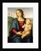 Madonna and Child, c.1520 by Pietro Perugino