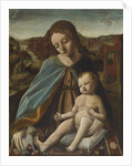 Madonna and Child with Cat, 1485-95 by Master of the Pala Sforzesca