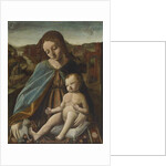 Madonna and Child with Cat, 1485-95 by Master of the Pala Sforzesca