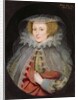 Catherine Killigrew, Lady Jermyn, 1614 by Marcus Gheeraerts