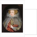 Catherine Killigrew, Lady Jermyn, 1614 by Marcus Gheeraerts