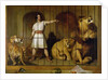 Portrait of Mr Van Amburgh as he Appeared with his Animals at the London Theatre, 1847 by Edwin Landseer