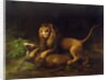 A Lion Attacking a Stag, c.1765 by George Stubbs