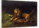 A Lion Attacking a Stag, c.1765 by George Stubbs