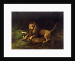 A Lion Attacking a Stag, c.1765 by George Stubbs
