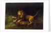 A Lion Attacking a Stag, c.1765 by George Stubbs