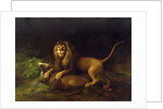 A Lion Attacking a Stag, c.1765 by George Stubbs