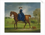 The Countess of Coningsby in the Costume of the Charlton Hunt, c.1760 by George Stubbs