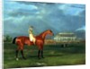 Memnon with William Scott Up, 1825 by John Frederick Herring Snr