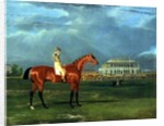 Memnon with William Scott Up, 1825 by John Frederick Herring Snr