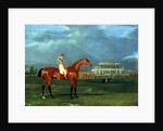 Memnon with William Scott Up, 1825 by John Frederick Herring Snr