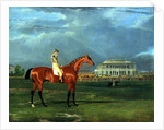Memnon with William Scott Up, 1825 by John Frederick Herring Snr
